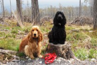 /album/vysoke-tatry-kveten-2011/dscn0109-jpg/