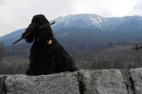 /album/vysoke-tatry-kveten-2011/dscn0118-jpg/