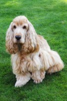 /album/leto-2011-na-chalupe/dscn0305-jpg/