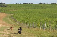 /album/leto-2011-na-chalupe/dscn0323-jpg/