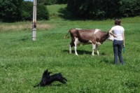 /album/fotogalerie/dsc-7350-jpg/