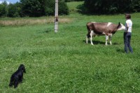 /album/fotogalerie/dsc-7352-jpg/