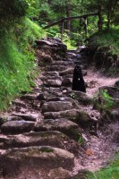 /album/fotogalerie/dsc-7406-jpg/